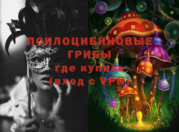 а пвп мука Пестово