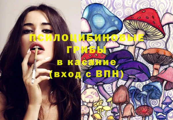 МДПВ Переславль-Залесский