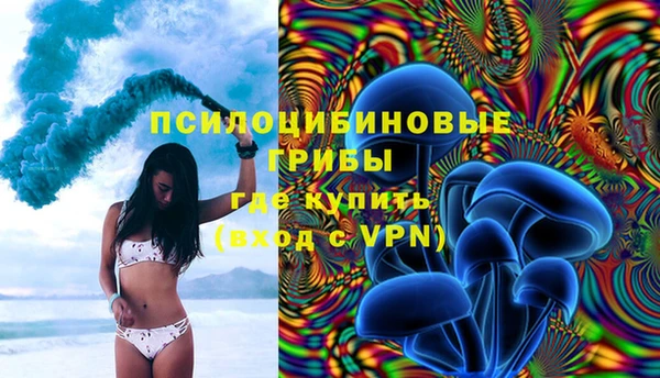 spice Алексеевка