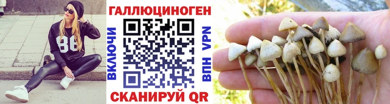 Галлюциногенные грибы Magic Shrooms  сколько стоит  Оленегорск 